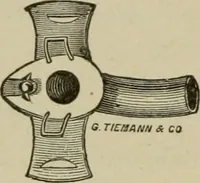 An illustration from Diseases of infancy and childhood, their dietetic, hygienic, and medical treatment : a text-book designed for practitioners and students in medicine / By Louis Fischer. (1910)