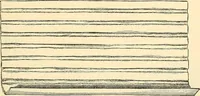 An illustration from Surgical technic; a text-book on operative surgery / by Fr. von Esmarch ... and E. Kowalzig ... translated by Professor Ludwig H. Grau ... and Willam N. Sullivan ... edited by Nicholas Senn ... With fourteen hundred and ninety-seven illustrations and fifteen colored plates. (1901)