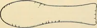 An illustration from Surgical technic; a text-book on operative surgery / by Fr. von Esmarch ... and E. Kowalzig ... translated by Professor Ludwig H. Grau ... and Willam N. Sullivan ... edited by Nicholas Senn ... With fourteen hundred and ninety-seven illustrations and fifteen colored plates. (1901)
