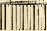 An illustration from Surgical technic; a text-book on operative surgery / by Fr. von Esmarch ... and E. Kowalzig ... translated by Professor Ludwig H. Grau ... and Willam N. Sullivan ... edited by Nicholas Senn ... With fourteen hundred and ninety-seven illustrations and fifteen colored plates. (1901)