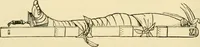 An illustration from Surgical technic; a text-book on operative surgery / by Fr. von Esmarch ... and E. Kowalzig ... translated by Professor Ludwig H. Grau ... and Willam N. Sullivan ... edited by Nicholas Senn ... With fourteen hundred and ninety-seven illustrations and fifteen colored plates. (1901)