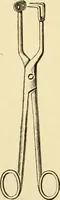 An illustration from Surgical technic; a text-book on operative surgery / by Fr. von Esmarch ... and E. Kowalzig ... translated by Professor Ludwig H. Grau ... and Willam N. Sullivan ... edited by Nicholas Senn ... With fourteen hundred and ninety-seven illustrations and fifteen colored plates. (1901)