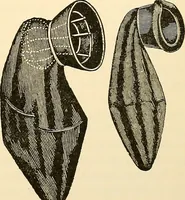 An illustration from Surgical technic; a text-book on operative surgery / by Fr. von Esmarch ... and E. Kowalzig ... translated by Professor Ludwig H. Grau ... and Willam N. Sullivan ... edited by Nicholas Senn ... With fourteen hundred and ninety-seven illustrations and fifteen colored plates. (1901)