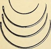 An illustration from Surgical technic; a text-book on operative surgery / by Fr. von Esmarch ... and E. Kowalzig ... translated by Professor Ludwig H. Grau ... and Willam N. Sullivan ... edited by Nicholas Senn ... With fourteen hundred and ninety-seven illustrations and fifteen colored plates. (1901)