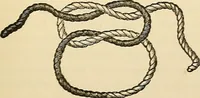 An illustration from Surgical technic; a text-book on operative surgery / by Fr. von Esmarch ... and E. Kowalzig ... translated by Professor Ludwig H. Grau ... and Willam N. Sullivan ... edited by Nicholas Senn ... With fourteen hundred and ninety-seven illustrations and fifteen colored plates. (1901)