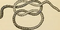 An illustration from Surgical technic; a text-book on operative surgery / by Fr. von Esmarch ... and E. Kowalzig ... translated by Professor Ludwig H. Grau ... and Willam N. Sullivan ... edited by Nicholas Senn ... With fourteen hundred and ninety-seven illustrations and fifteen colored plates. (1901)