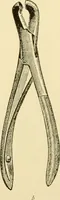 An illustration from Surgical technic; a text-book on operative surgery / by Fr. von Esmarch ... and E. Kowalzig ... translated by Professor Ludwig H. Grau ... and Willam N. Sullivan ... edited by Nicholas Senn ... With fourteen hundred and ninety-seven illustrations and fifteen colored plates. (1901)