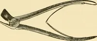 An illustration from Surgical technic; a text-book on operative surgery / by Fr. von Esmarch ... and E. Kowalzig ... translated by Professor Ludwig H. Grau ... and Willam N. Sullivan ... edited by Nicholas Senn ... With fourteen hundred and ninety-seven illustrations and fifteen colored plates. (1901)