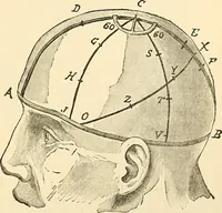 An illustration from Surgical technic; a text-book on operative surgery / by Fr. von Esmarch ... and E. Kowalzig ... translated by Professor Ludwig H. Grau ... and Willam N. Sullivan ... edited by Nicholas Senn ... With fourteen hundred and ninety-seven illustrations and fifteen colored plates. (1901)