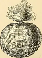 An illustration from Surgical technic; a text-book on operative surgery / by Fr. von Esmarch ... and E. Kowalzig ... translated by Professor Ludwig H. Grau ... and Willam N. Sullivan ... edited by Nicholas Senn ... With fourteen hundred and ninety-seven illustrations and fifteen colored plates. (1901)