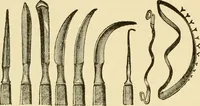 An illustration from Surgical technic; a text-book on operative surgery / by Fr. von Esmarch ... and E. Kowalzig ... translated by Professor Ludwig H. Grau ... and Willam N. Sullivan ... edited by Nicholas Senn ... With fourteen hundred and ninety-seven illustrations and fifteen colored plates. (1901)