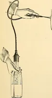 An illustration from Surgical technic; a text-book on operative surgery / by Fr. von Esmarch ... and E. Kowalzig ... translated by Professor Ludwig H. Grau ... and Willam N. Sullivan ... edited by Nicholas Senn ... With fourteen hundred and ninety-seven illustrations and fifteen colored plates. (1901)