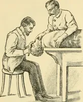 An illustration from Surgical technic; a text-book on operative surgery / by Fr. von Esmarch ... and E. Kowalzig ... translated by Professor Ludwig H. Grau ... and Willam N. Sullivan ... edited by Nicholas Senn ... With fourteen hundred and ninety-seven illustrations and fifteen colored plates. (1901)