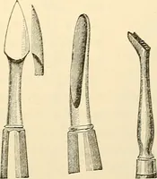 An illustration from Surgical technic; a text-book on operative surgery / by Fr. von Esmarch ... and E. Kowalzig ... translated by Professor Ludwig H. Grau ... and Willam N. Sullivan ... edited by Nicholas Senn ... With fourteen hundred and ninety-seven illustrations and fifteen colored plates. (1901)