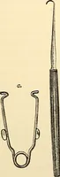 An illustration from Surgical technic; a text-book on operative surgery / by Fr. von Esmarch ... and E. Kowalzig ... translated by Professor Ludwig H. Grau ... and Willam N. Sullivan ... edited by Nicholas Senn ... With fourteen hundred and ninety-seven illustrations and fifteen colored plates. (1901)