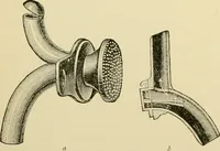 An illustration from Surgical technic; a text-book on operative surgery / by Fr. von Esmarch ... and E. Kowalzig ... translated by Professor Ludwig H. Grau ... and Willam N. Sullivan ... edited by Nicholas Senn ... With fourteen hundred and ninety-seven illustrations and fifteen colored plates. (1901)