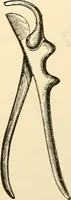 An illustration from Surgical technic; a text-book on operative surgery / by Fr. von Esmarch ... and E. Kowalzig ... translated by Professor Ludwig H. Grau ... and Willam N. Sullivan ... edited by Nicholas Senn ... With fourteen hundred and ninety-seven illustrations and fifteen colored plates. (1901)