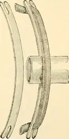 An illustration from Surgical technic; a text-book on operative surgery / by Fr. von Esmarch ... and E. Kowalzig ... translated by Professor Ludwig H. Grau ... and Willam N. Sullivan ... edited by Nicholas Senn ... With fourteen hundred and ninety-seven illustrations and fifteen colored plates. (1901)