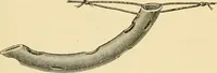 An illustration from Surgical technic; a text-book on operative surgery / by Fr. von Esmarch ... and E. Kowalzig ... translated by Professor Ludwig H. Grau ... and Willam N. Sullivan ... edited by Nicholas Senn ... With fourteen hundred and ninety-seven illustrations and fifteen colored plates. (1901)
