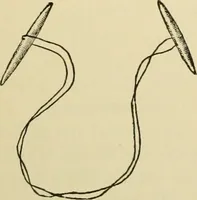 An illustration from Surgical technic; a text-book on operative surgery / by Fr. von Esmarch ... and E. Kowalzig ... translated by Professor Ludwig H. Grau ... and Willam N. Sullivan ... edited by Nicholas Senn ... With fourteen hundred and ninety-seven illustrations and fifteen colored plates. (1901)