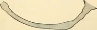 An illustration from Surgical technic; a text-book on operative surgery / by Fr. von Esmarch ... and E. Kowalzig ... translated by Professor Ludwig H. Grau ... and Willam N. Sullivan ... edited by Nicholas Senn ... With fourteen hundred and ninety-seven illustrations and fifteen colored plates. (1901)