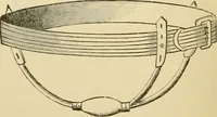 An illustration from Surgical technic; a text-book on operative surgery / by Fr. von Esmarch ... and E. Kowalzig ... translated by Professor Ludwig H. Grau ... and Willam N. Sullivan ... edited by Nicholas Senn ... With fourteen hundred and ninety-seven illustrations and fifteen colored plates. (1901)