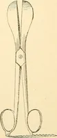 An illustration from Surgical technic; a text-book on operative surgery / by Fr. von Esmarch ... and E. Kowalzig ... translated by Professor Ludwig H. Grau ... and Willam N. Sullivan ... edited by Nicholas Senn ... With fourteen hundred and ninety-seven illustrations and fifteen colored plates. (1901)