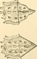 An illustration from Surgical technic; a text-book on operative surgery / by Fr. von Esmarch ... and E. Kowalzig ... translated by Professor Ludwig H. Grau ... and Willam N. Sullivan ... edited by Nicholas Senn ... With fourteen hundred and ninety-seven illustrations and fifteen colored plates. (1901)
