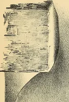 An illustration from Illustrations of dissections : in a series of original colored plates the size of life representing the dissection of the human body / by George Viner Ellis and G.H. Ford. (1891)