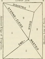 Picture 38 of 135 from A manual of modern surgery, general and operative : With 188 illus. in the text and 13 full-page plates in colors and tints, aggregating 276 separate figures. (1894), leaf 299