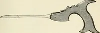 An illustration from A manual of modern surgery, general and operative : With 188 illus. in the text and 13 full-page plates in colors and tints, aggregating 276 separate figures. (1894)
