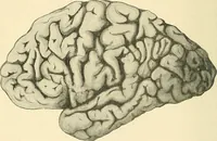 An illustration from Mental diseases : A text-book of psychiatry for medical students and practitioners / by R.H. Cole, ... With fifty-two illustrations and plates. (1913)