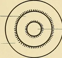 An illustration from Mental diseases : A text-book of psychiatry for medical students and practitioners / by R.H. Cole, ... With fifty-two illustrations and plates. (1913)