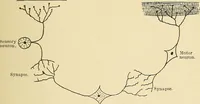 An illustration from Mental diseases : A text-book of psychiatry for medical students and practitioners / by R.H. Cole, ... With fifty-two illustrations and plates. (1913)