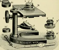 An illustration from Diseases of metabolism and of the blood : animal parasites, toxicology / ed. by Richard C. Cabot ... An authorized translation from "Die deutsche klinik" under the general editorial supervision of Julius L. Salinger, M. D. With one colored plate and fifty-eight illustrations in the text. (1906)