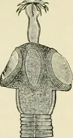An illustration from Diseases of metabolism and of the blood : animal parasites, toxicology / ed. by Richard C. Cabot ... An authorized translation from "Die deutsche klinik" under the general editorial supervision of Julius L. Salinger, M. D. With one colored plate and fifty-eight illustrations in the text. (1906)