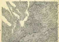 An illustration from An American text-book of genito-urinary diseases, syphilis and diseases of the skin / Ed. by L. Bolton Bangs ... and W. A. Hardaway ... Illustrated with 300 engravings and 20 full-page colored plates. (1898)