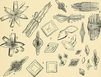 Picture 2 of 146 from An American text-book of genito-urinary diseases, syphilis and diseases of the skin / Ed. by L. Bolton Bangs ... and W. A. Hardaway ... Illustrated with 300 engravings and 20 full-page colored plates. (1898), leaf 29