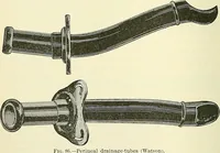 Picture 41 of 146 from An American text-book of genito-urinary diseases, syphilis and diseases of the skin / Ed. by L. Bolton Bangs ... and W. A. Hardaway ... Illustrated with 300 engravings and 20 full-page colored plates. (1898), leaf 310