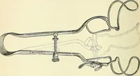 An illustration from An American text-book of genito-urinary diseases, syphilis and diseases of the skin / Ed. by L. Bolton Bangs ... and W. A. Hardaway ... Illustrated with 300 engravings and 20 full-page colored plates. (1898)