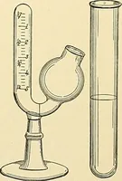 An illustration from An American text-book of genito-urinary diseases, syphilis and diseases of the skin / Ed. by L. Bolton Bangs ... and W. A. Hardaway ... Illustrated with 300 engravings and 20 full-page colored plates. (1898)