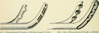 Picture 70 of 146 from An American text-book of genito-urinary diseases, syphilis and diseases of the skin / Ed. by L. Bolton Bangs ... and W. A. Hardaway ... Illustrated with 300 engravings and 20 full-page colored plates. (1898), leaf 464