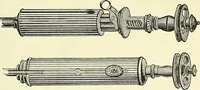 An illustration from An American text-book of genito-urinary diseases, syphilis and diseases of the skin / Ed. by L. Bolton Bangs ... and W. A. Hardaway ... Illustrated with 300 engravings and 20 full-page colored plates. (1898)