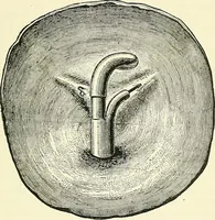 Picture 80 of 146 from An American text-book of genito-urinary diseases, syphilis and diseases of the skin / Ed. by L. Bolton Bangs ... and W. A. Hardaway ... Illustrated with 300 engravings and 20 full-page colored plates. (1898), leaf 505