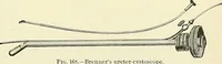 Picture 81 of 146 from An American text-book of genito-urinary diseases, syphilis and diseases of the skin / Ed. by L. Bolton Bangs ... and W. A. Hardaway ... Illustrated with 300 engravings and 20 full-page colored plates. (1898), leaf 505