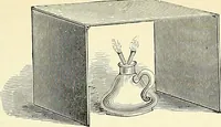 An illustration from An American text-book of genito-urinary diseases, syphilis and diseases of the skin / Ed. by L. Bolton Bangs ... and W. A. Hardaway ... Illustrated with 300 engravings and 20 full-page colored plates. (1898)