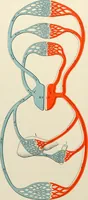 Picture 13 of 52 from Diseases of the heart and arterial system : designed to be a practical presentation of the subject for the use of students and practitioners of medicine / by Robert H. Babcock ... with three coloured plates and one hundred and thirty-nine illustrations. (1903), leaf 252