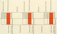 Picture 14 of 52 from Diseases of the heart and arterial system : designed to be a practical presentation of the subject for the use of students and practitioners of medicine / by Robert H. Babcock ... with three coloured plates and one hundred and thirty-nine illustrations. (1903), leaf 275