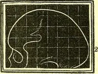 Picture 4 of 18 from Outlines of prenology. (1836), leaf 12