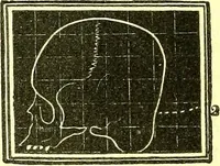 Picture 5 of 18 from Outlines of prenology. (1836), leaf 12